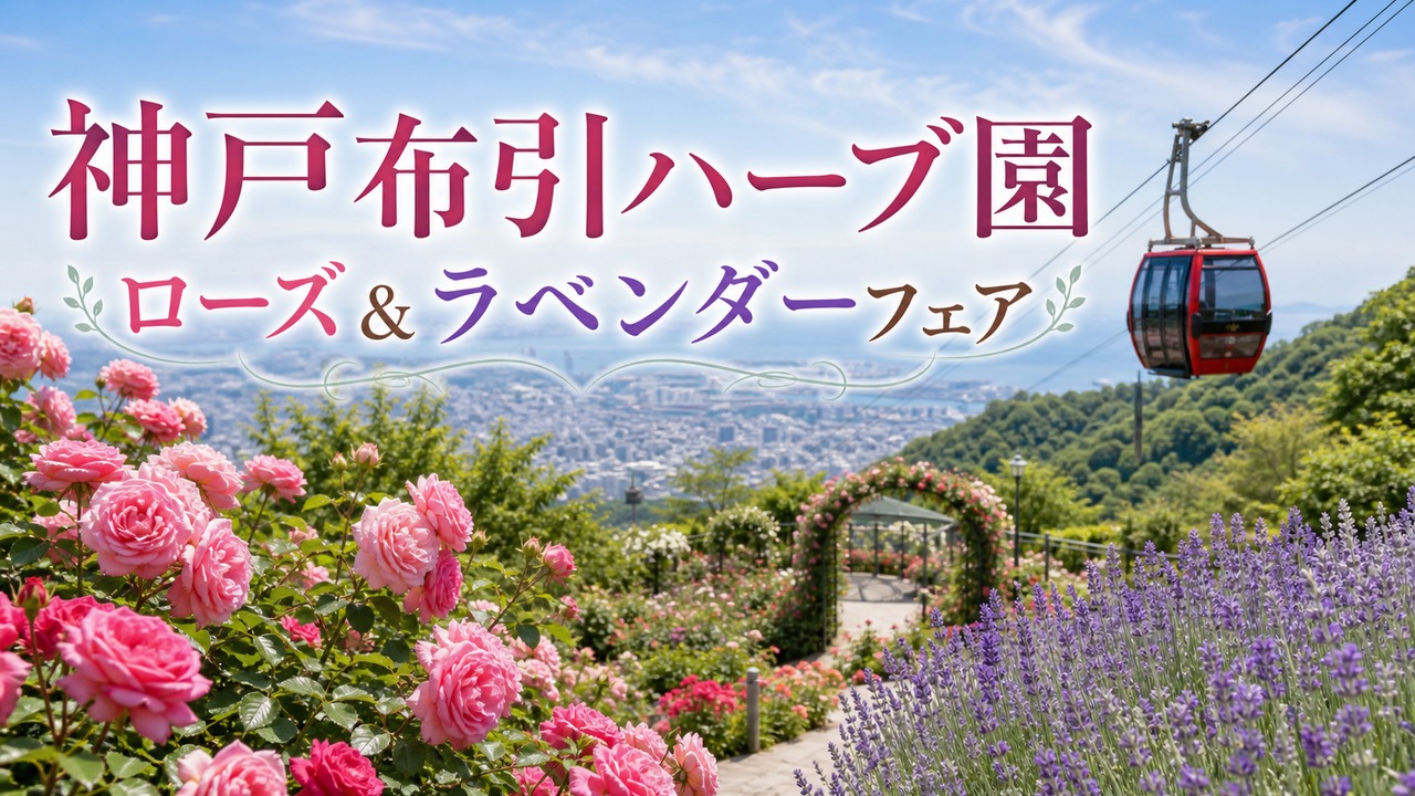 kobe-nunobiki-rose-lavender-fair-2026 アイキャッチ画像