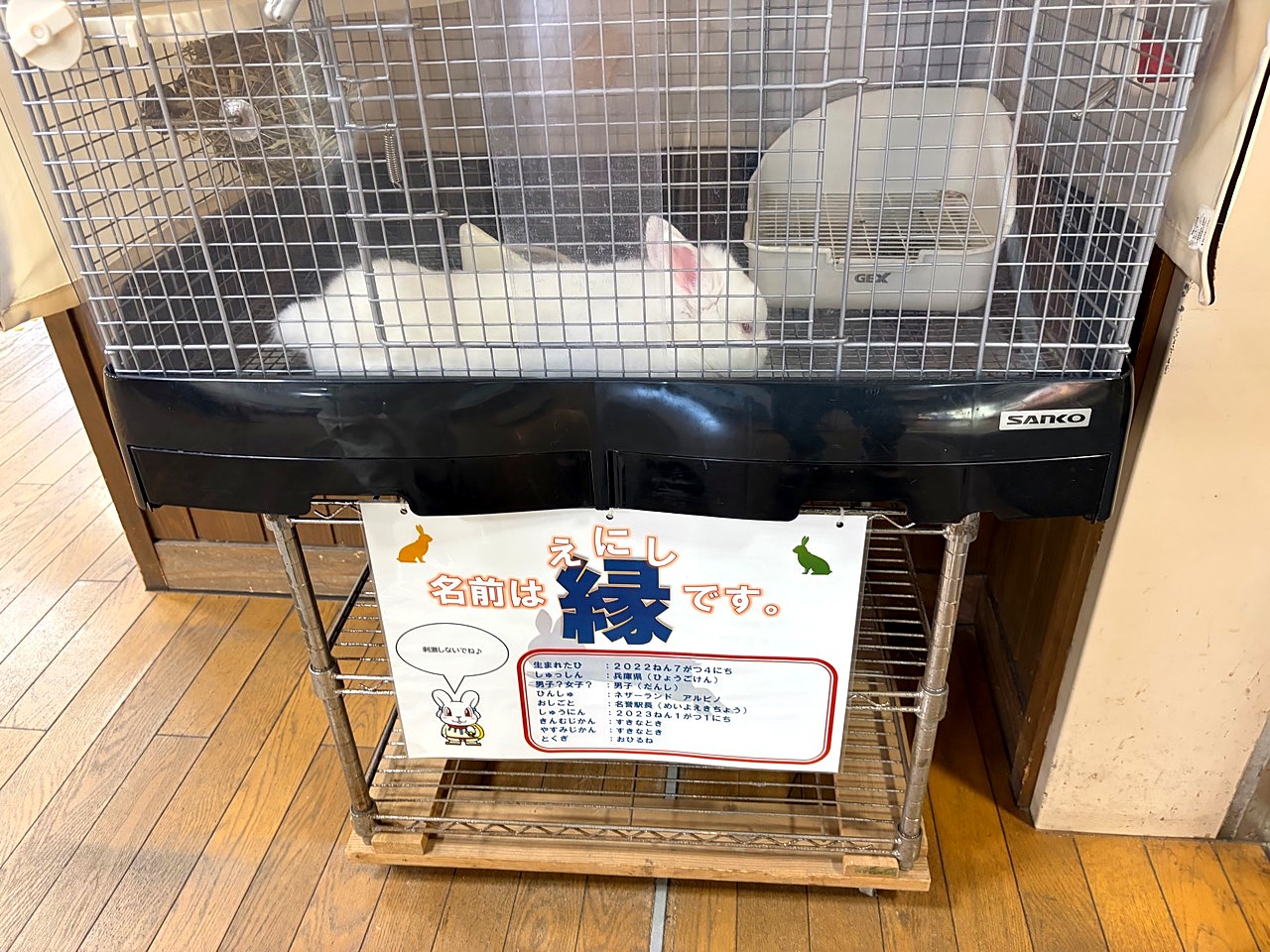 道の駅 神話の里 白うさぎのその他9
