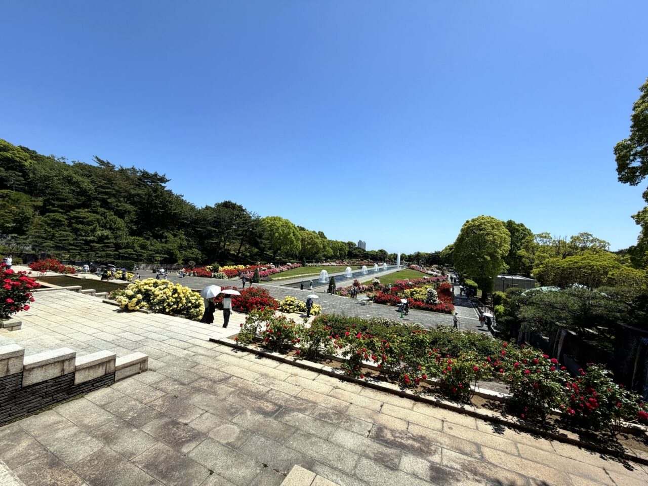 須磨離宮公園のバラ園を見下ろす風景