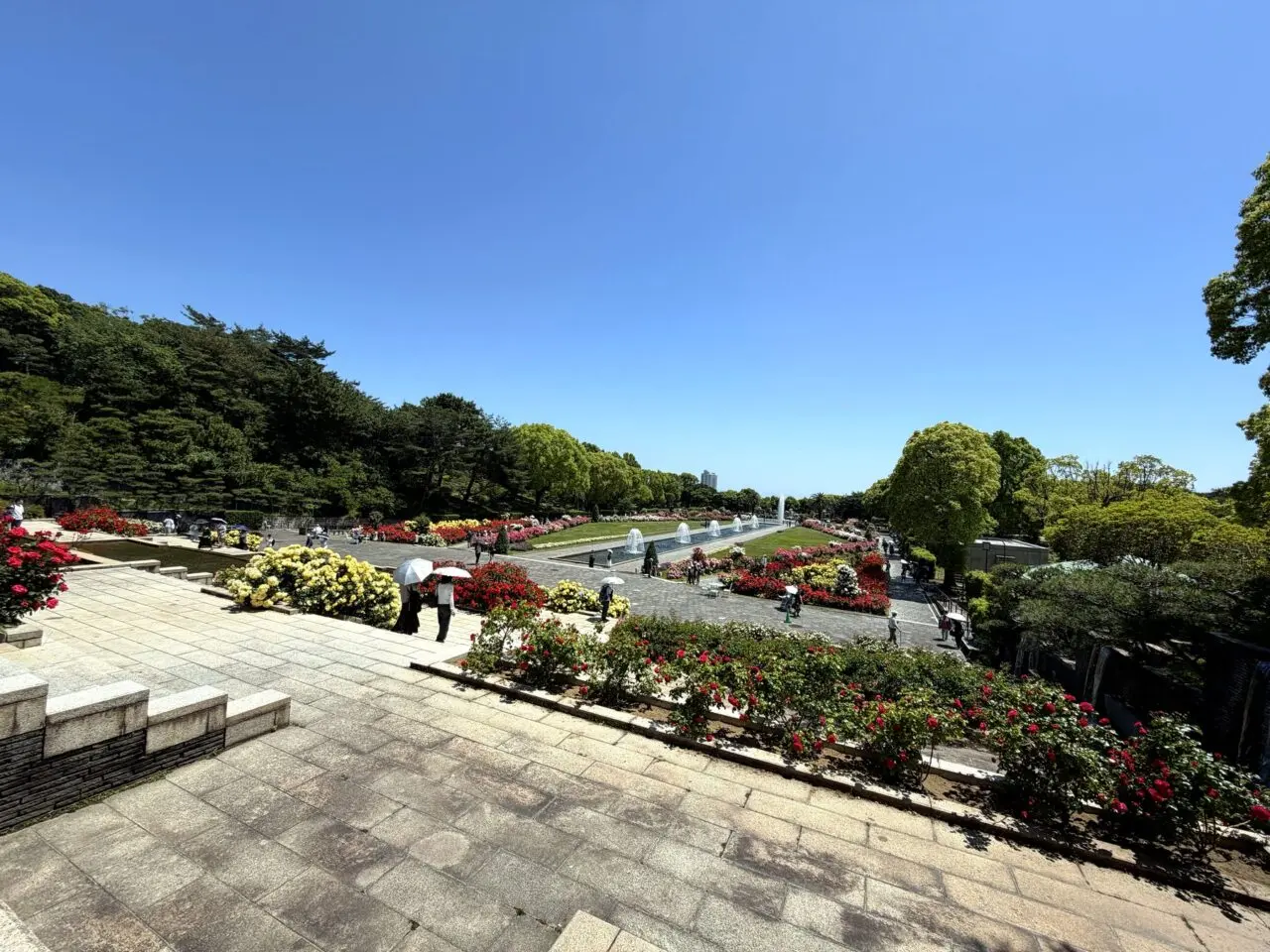 須磨離宮公園のバラ園を見下ろす風景