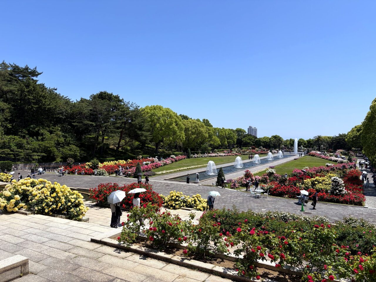 須磨離宮公園のバラ園と噴水広場
