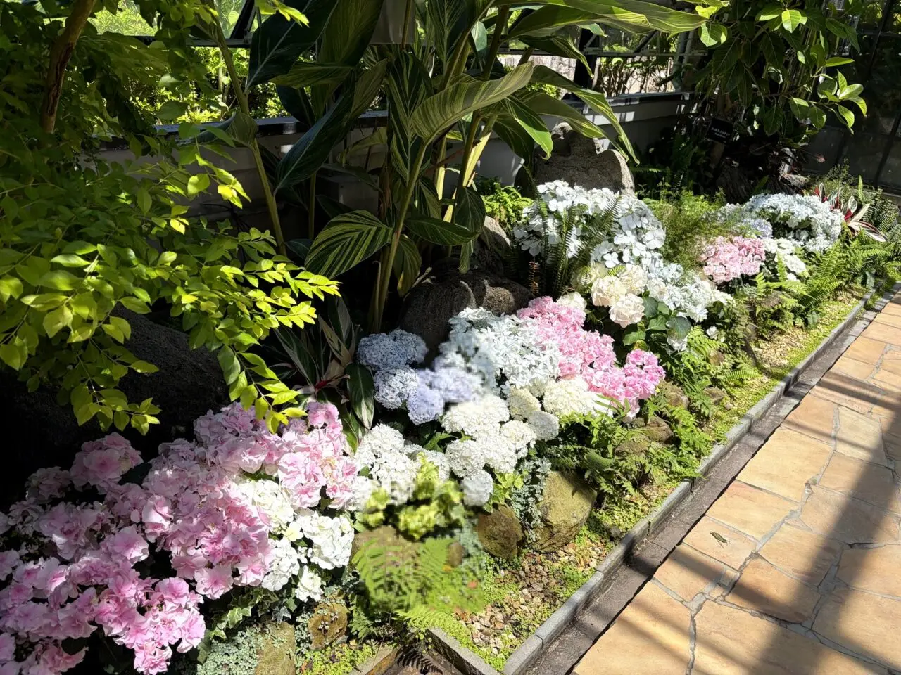 須磨離宮公園のあじさい花壇