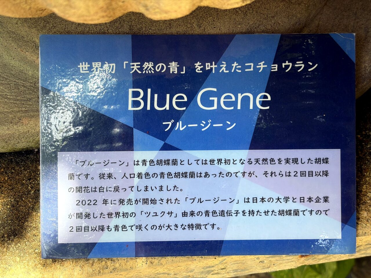 須磨離宮公園ブルージーンの説明