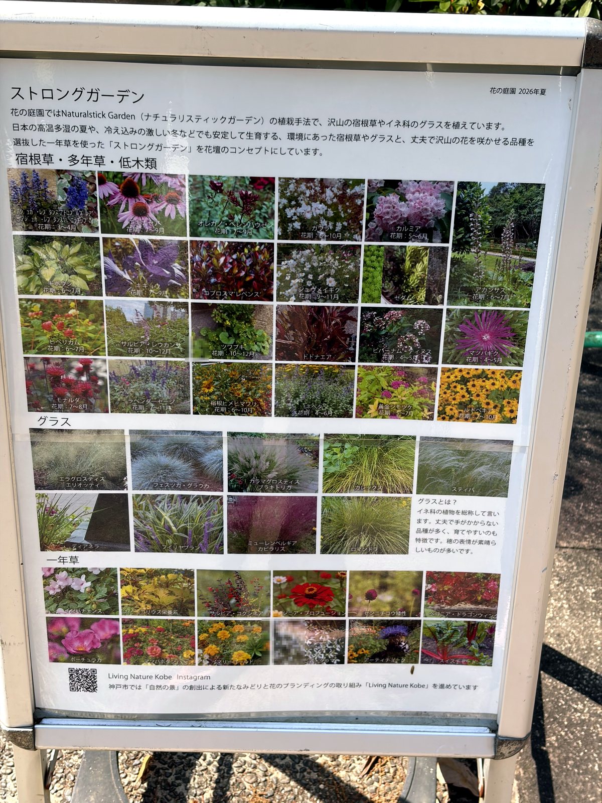 須磨離宮公園植物園エリアの案内