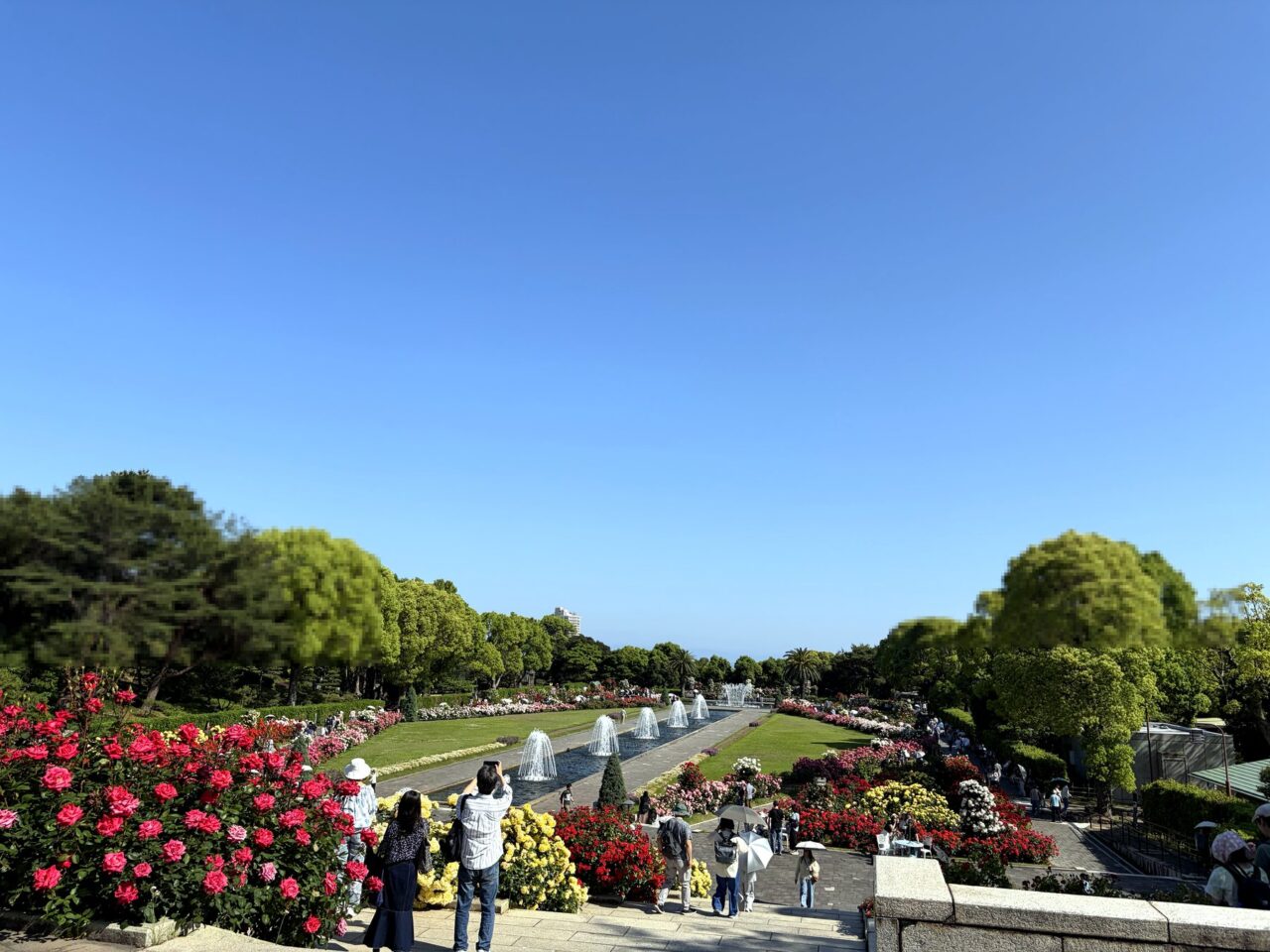 須磨離宮公園のバラ園俯瞰