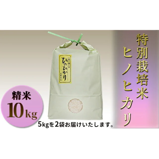 特別栽培米 ヒノヒカリ 精米10kg(5kg×2袋)