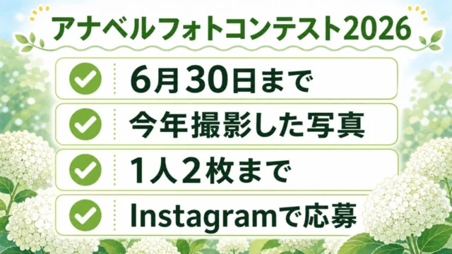 アナベルフォトコンテスト2026の締切、今年撮影した写真、1人2枚、Instagram応募をまとめたチェック画像