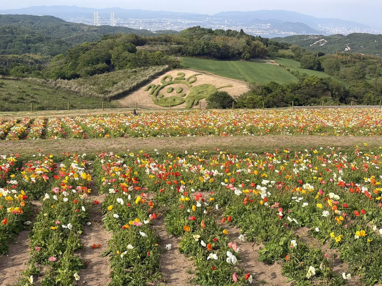 あわじ花さじきの花畑とアースワーク
