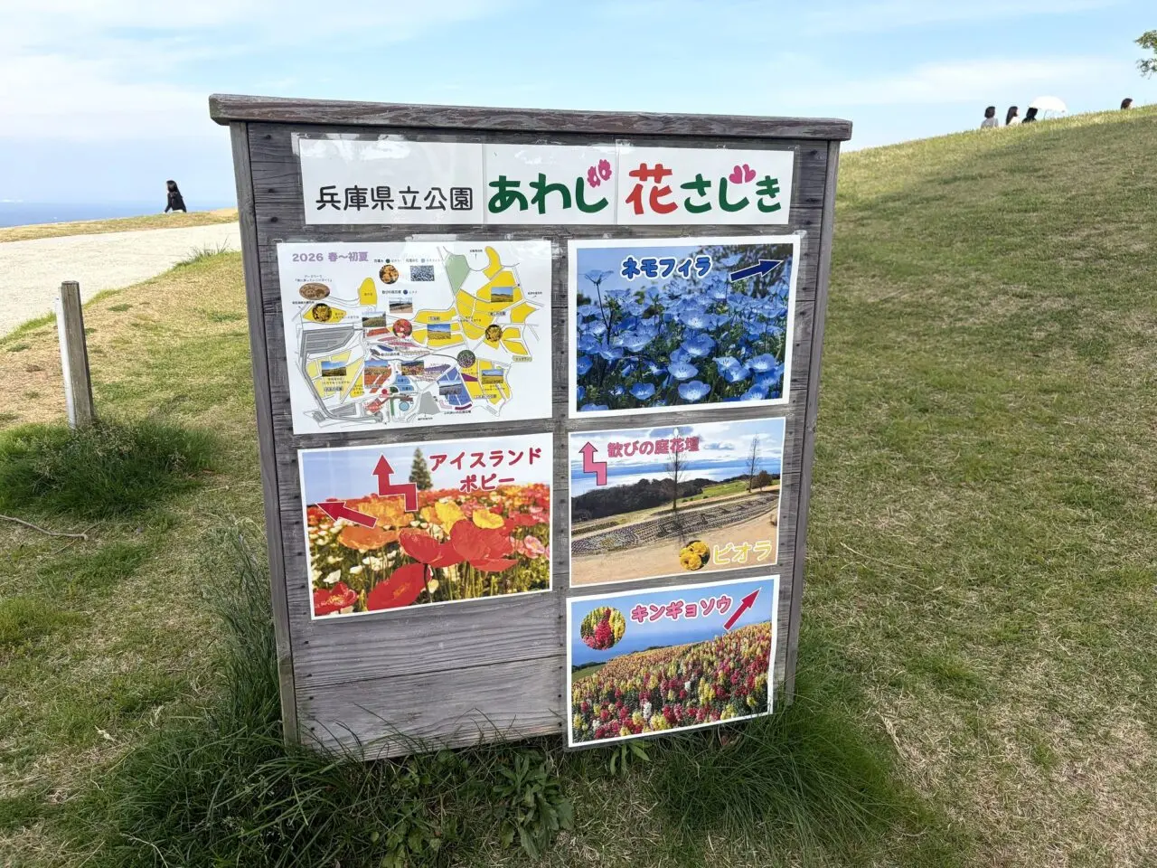 あわじ花さじきの季節の花案内板