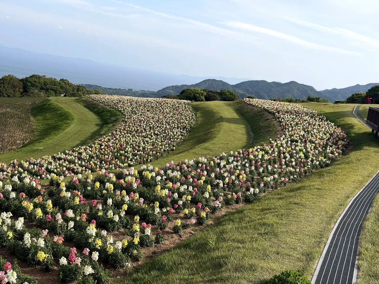 あわじ花さじきのその他_3