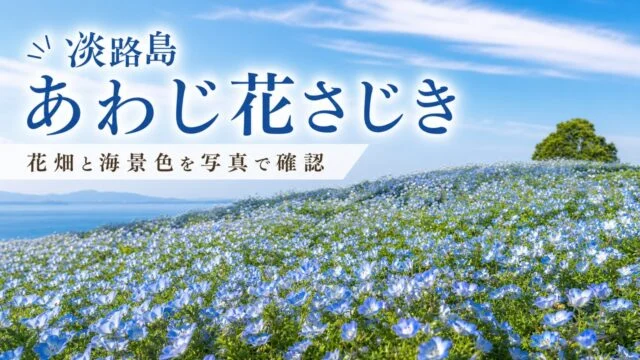 awaji-hanasajiki-flower-park-guide アイキャッチ画像