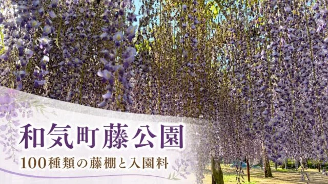 wake-fuji-park-wisteria-fee-guide アイキャッチ画像