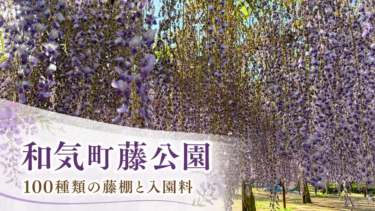 wake-fuji-park-wisteria-fee-guide アイキャッチ画像