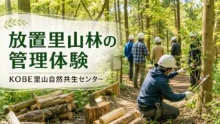 kobe-satoyama-forest-management-20260613 アイキャッチ画像