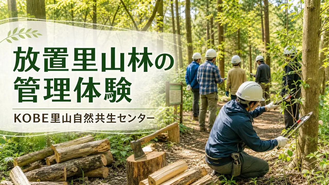 kobe-satoyama-forest-management-20260613 アイキャッチ画像