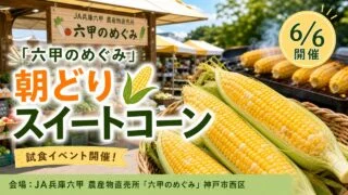 rokko-megumi-sweetcorn-20260606 アイキャッチ画像