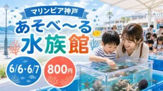 asoberu-aquarium-marinpia-kobe-202606 アイキャッチ画像