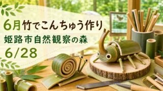 himeji-take-konchu-workshop-20260628 アイキャッチ画像
