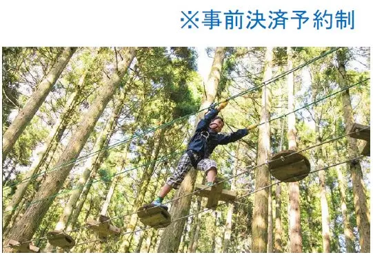 六甲山アスレチックパークGREENIAのアクティビティイメージ