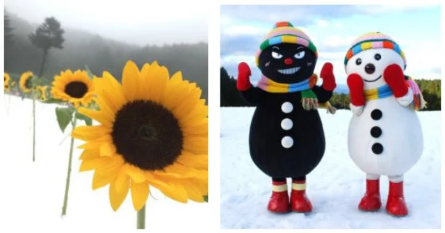GREENIA真夏の雪まつりの夏と雪のイメージ