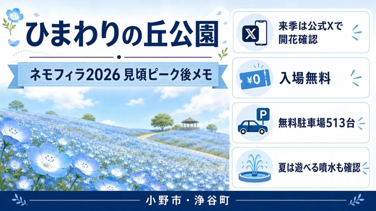 ひまわりの丘公園のネモフィラ2026見頃ピーク後メモ。来季の公式X確認、入場無料、無料駐車場513台、遊べる噴水確認を案内。