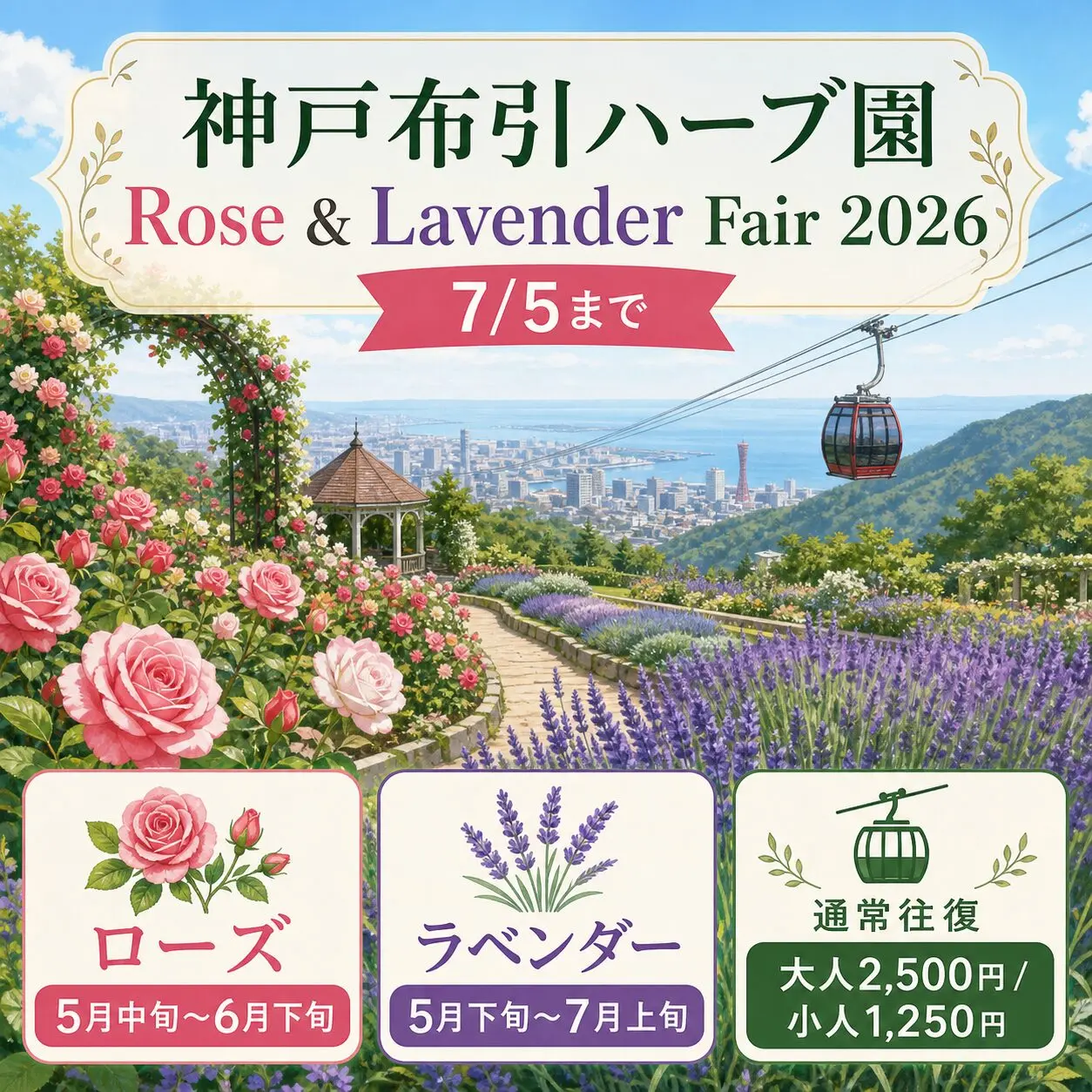 神戸布引ハーブ園 Rose & Lavender Fair 2026の見ごろ・開催期間・通常往復料金をまとめたGPT Image 2.0生成図解