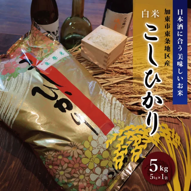 特別栽培米 コシヒカリ 白米 5kg