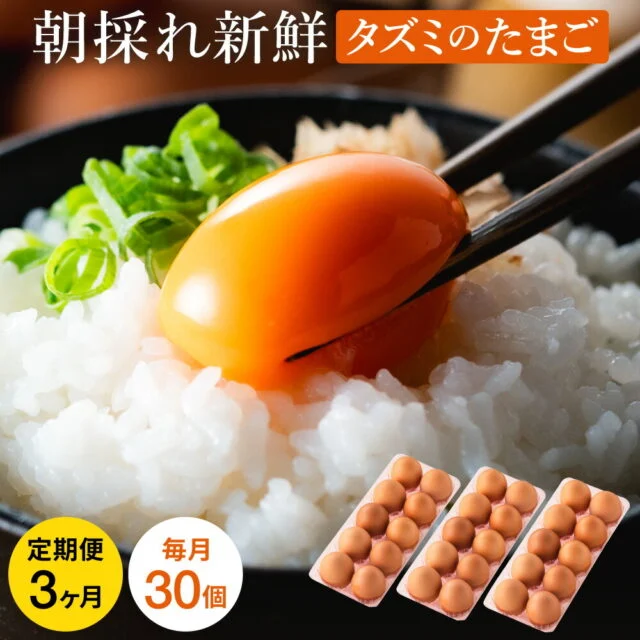 人気No.1タズミの卵 定期便 全3回 Mサイズ(30個×3ヶ月)