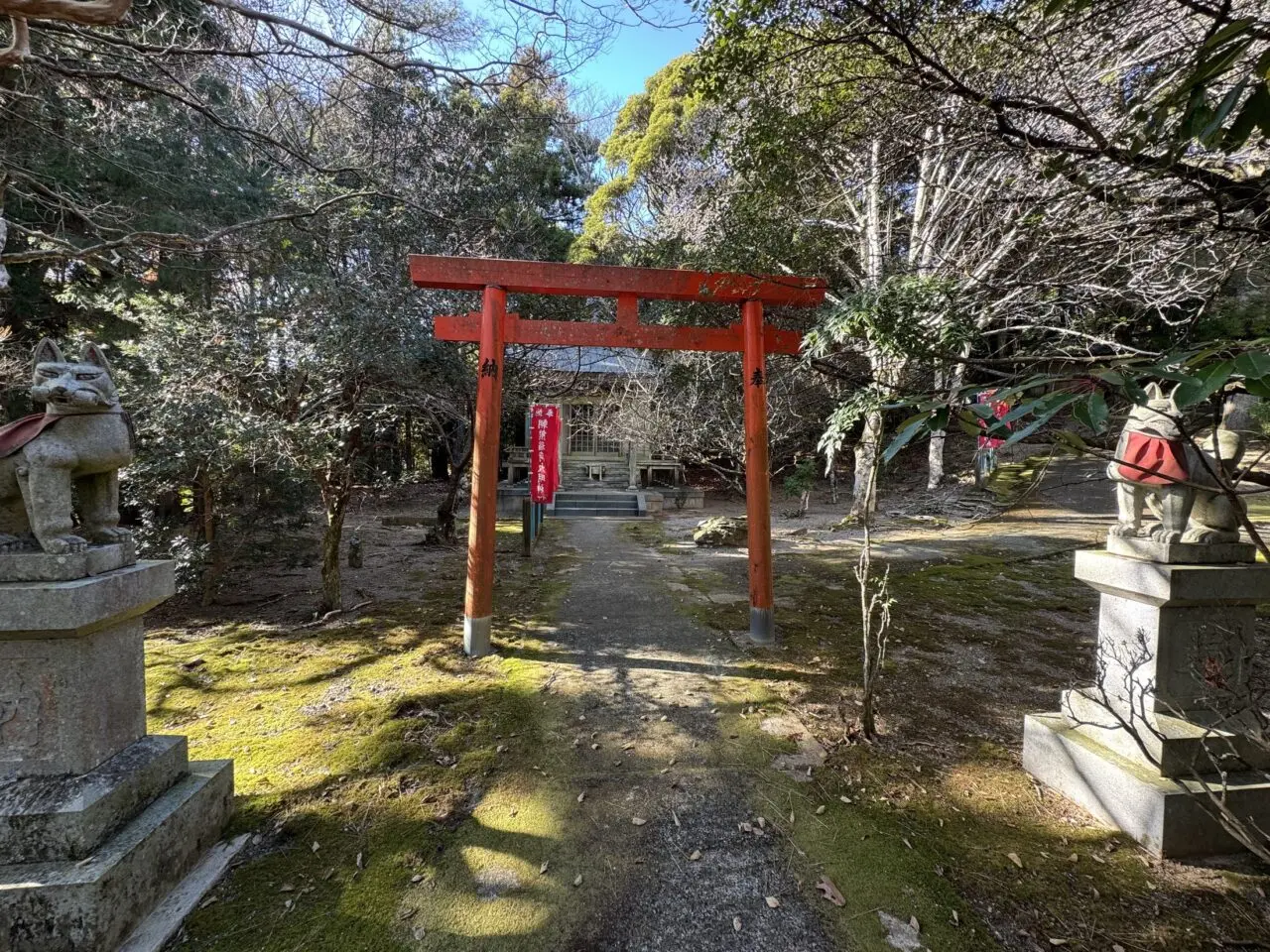 金剛證寺境内の鳥居と狐像