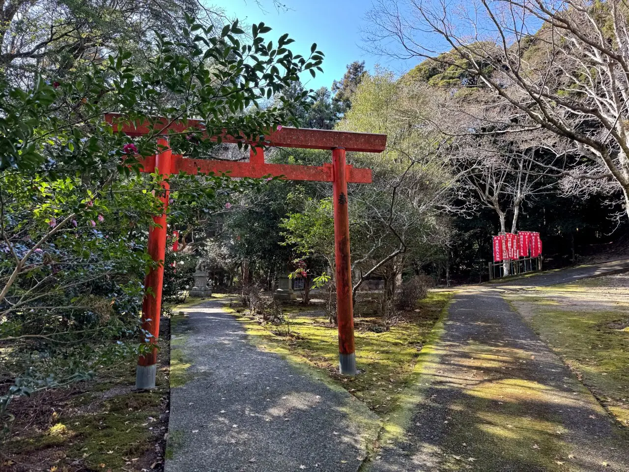 金剛證寺境内の鳥居と参道