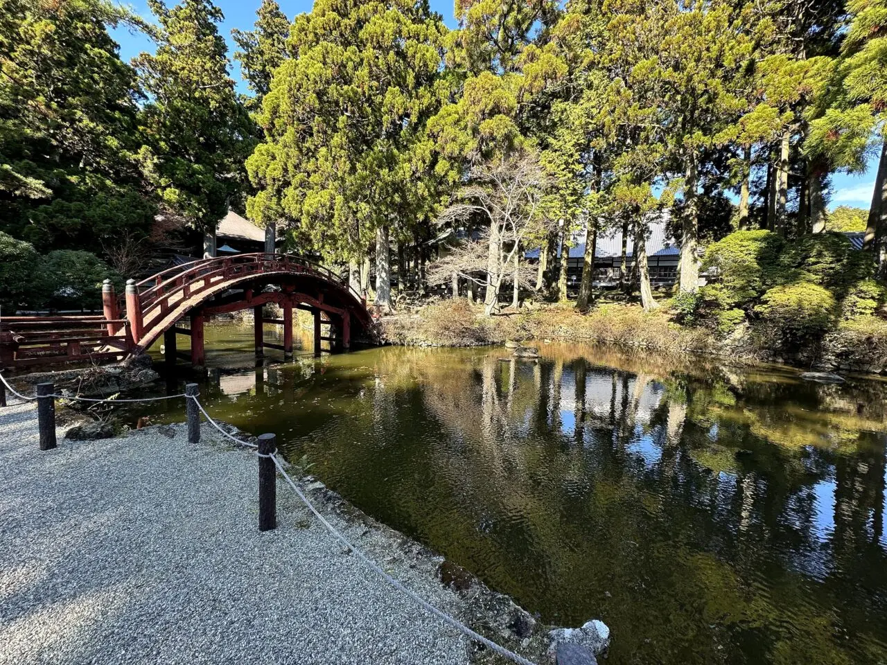 金剛證寺の連間の池