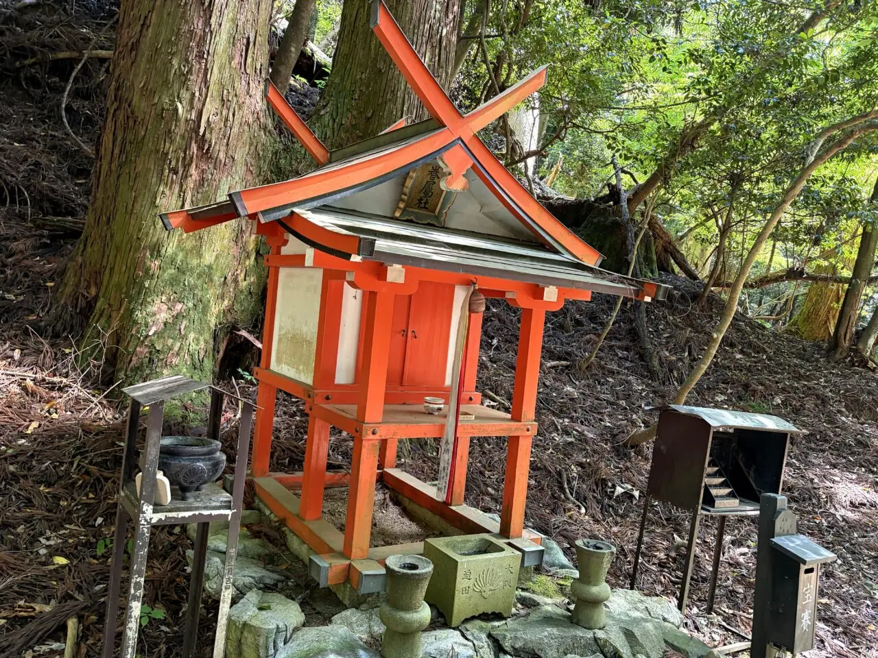 鞍馬寺 貴船神社 徒歩ルート 木の根道の外観16