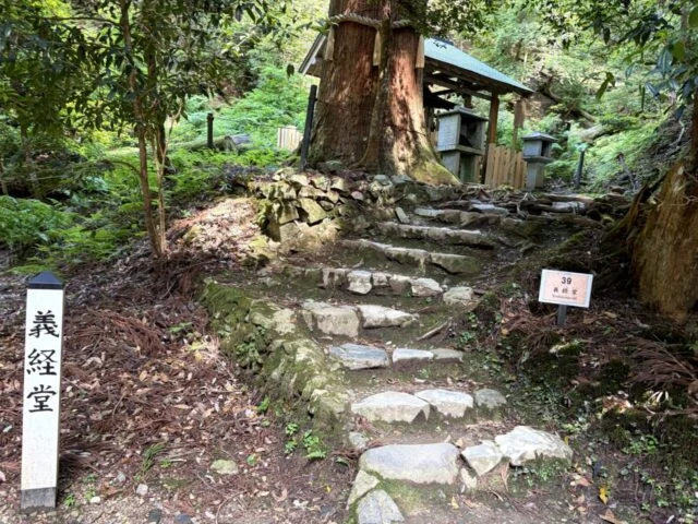 鞍馬寺 貴船神社 徒歩ルート 木の根道の外観17