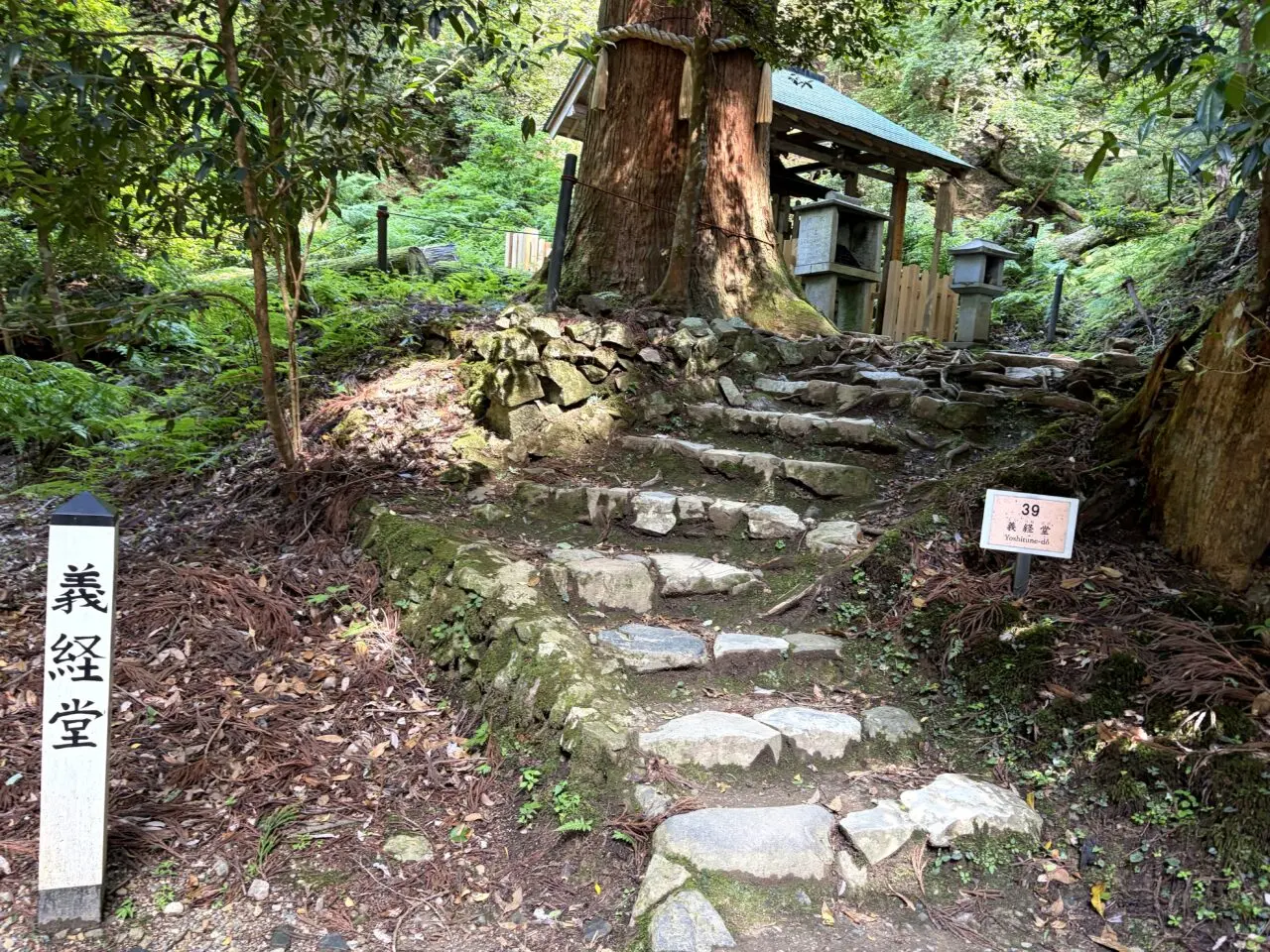 鞍馬寺 貴船神社 徒歩ルート 木の根道の外観17