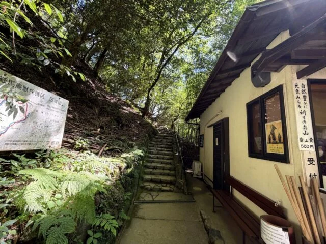 鞍馬寺 貴船神社 徒歩ルート 木の根道の外観21