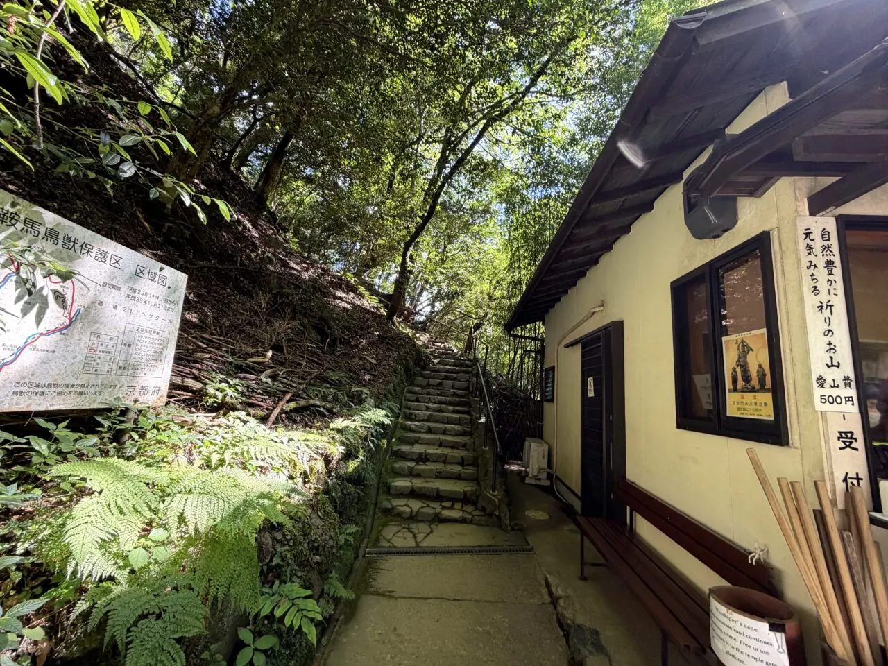 鞍馬寺 貴船神社 徒歩ルート 木の根道の外観21