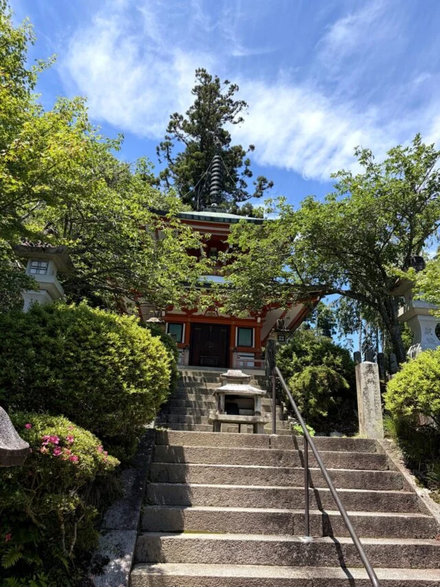 鞍馬寺 貴船神社 徒歩ルート 木の根道の外観4