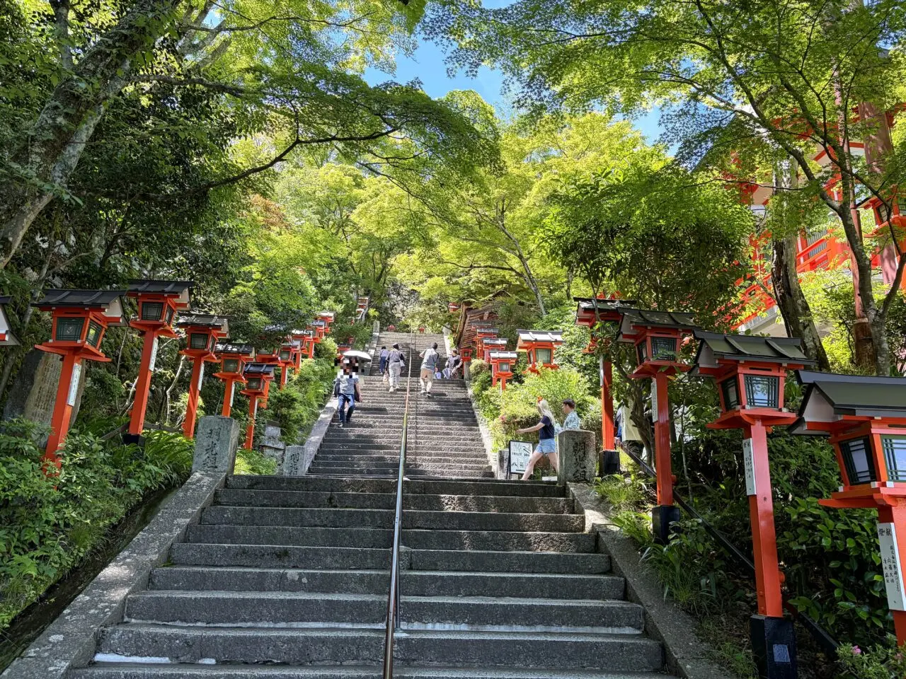 鞍馬寺 貴船神社 徒歩ルート 木の根道の外観6