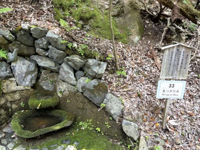 鞍馬寺 貴船神社 徒歩ルート 木の根道のその他12