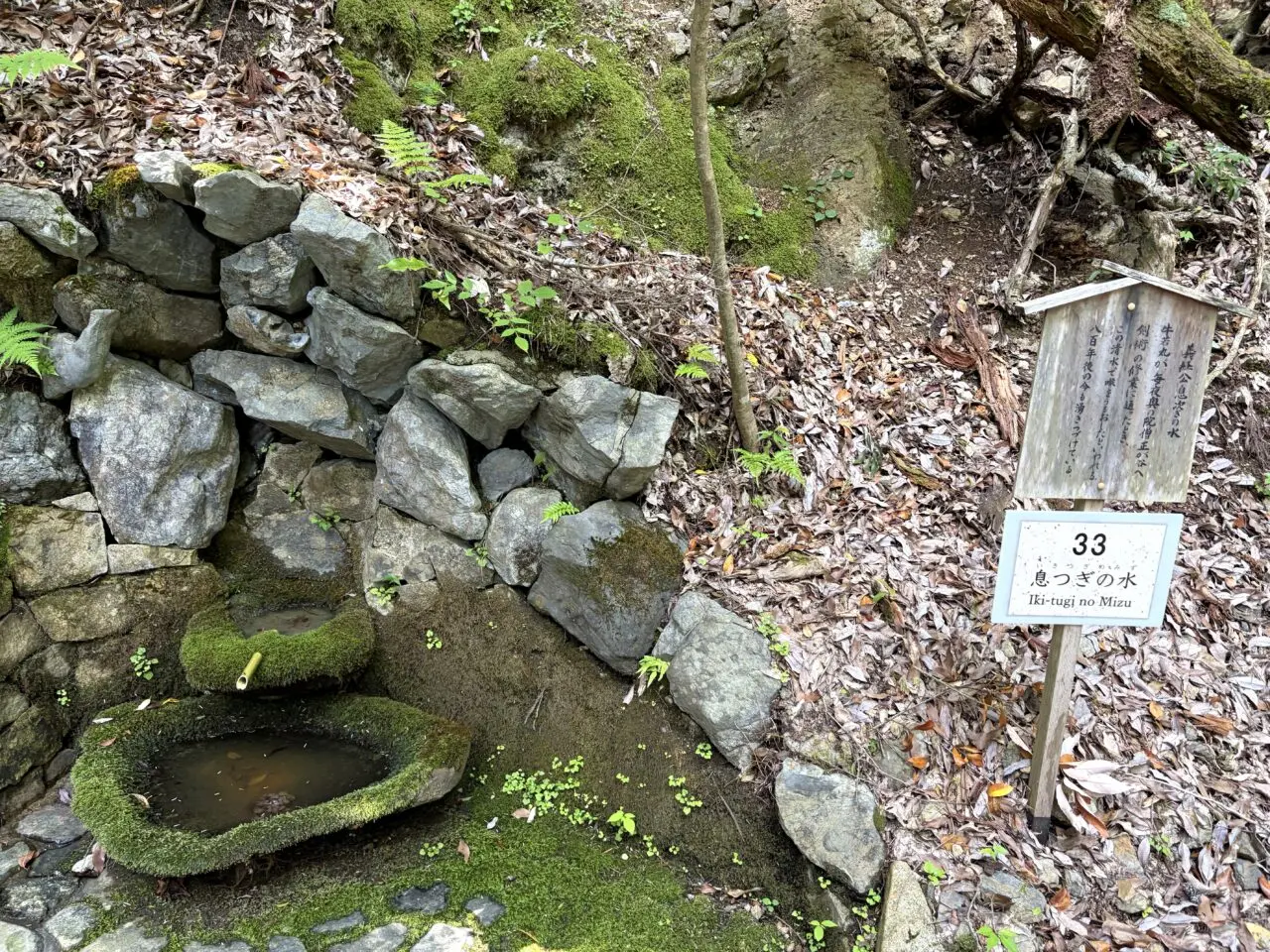 鞍馬寺 貴船神社 徒歩ルート 木の根道のその他12