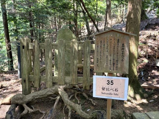 鞍馬寺 貴船神社 徒歩ルート 木の根道のその他13