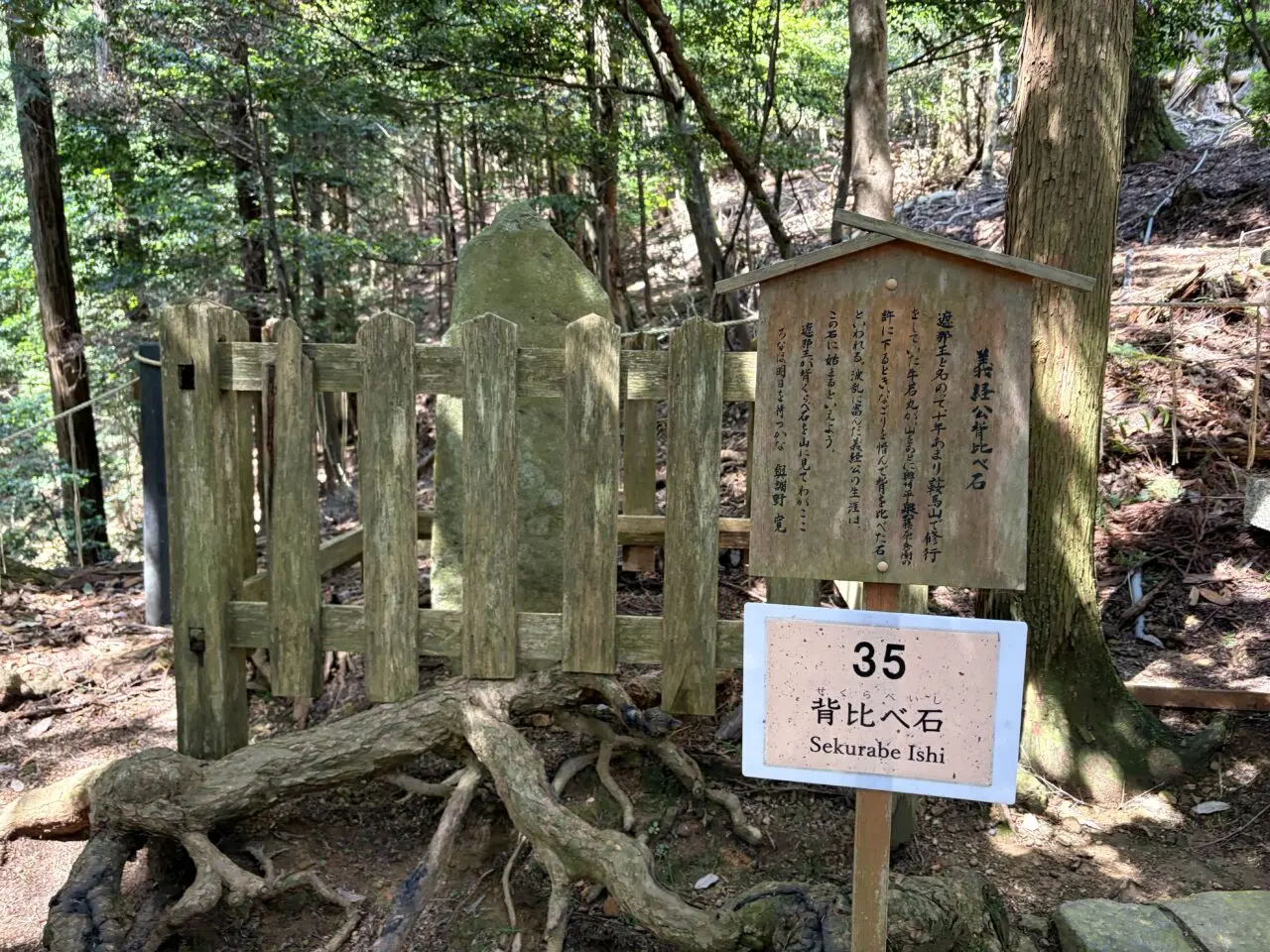 鞍馬寺 貴船神社 徒歩ルート 木の根道のその他13