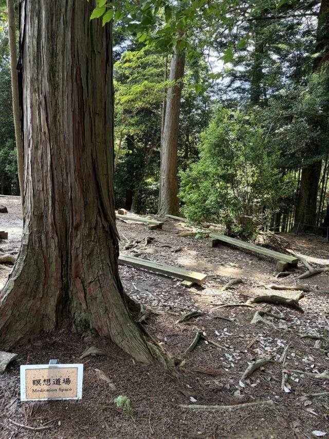 鞍馬寺 貴船神社 徒歩ルート 木の根道のその他18