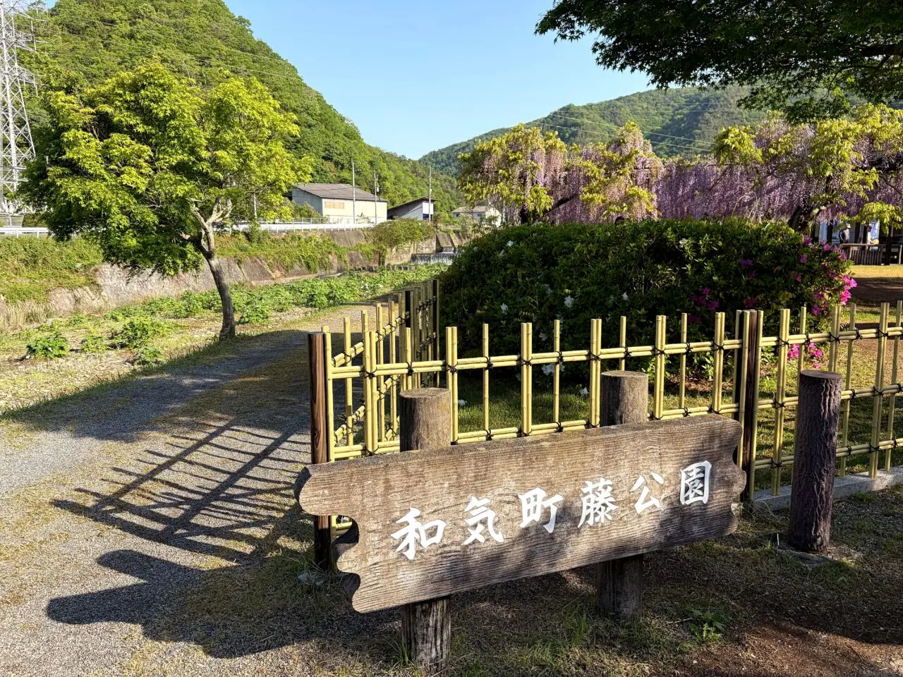 和気町藤公園の外観1
