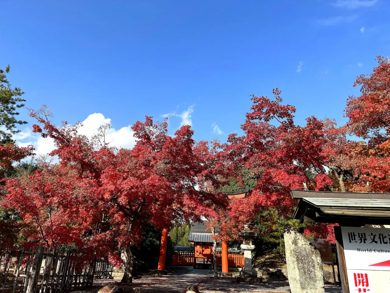 天龍寺の外観1