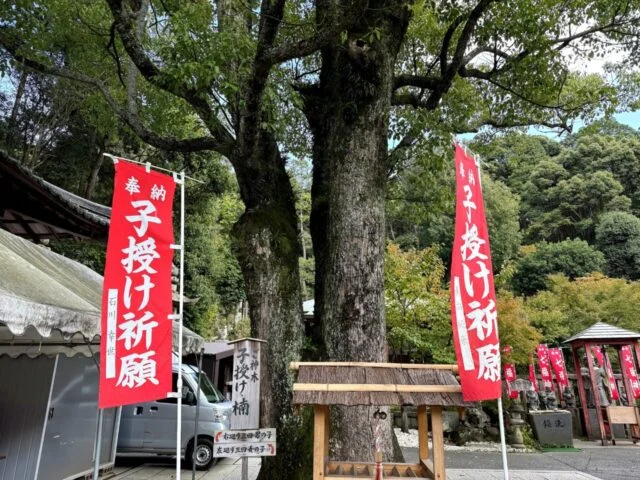 子授け祈願の赤い旗が並ぶ境内