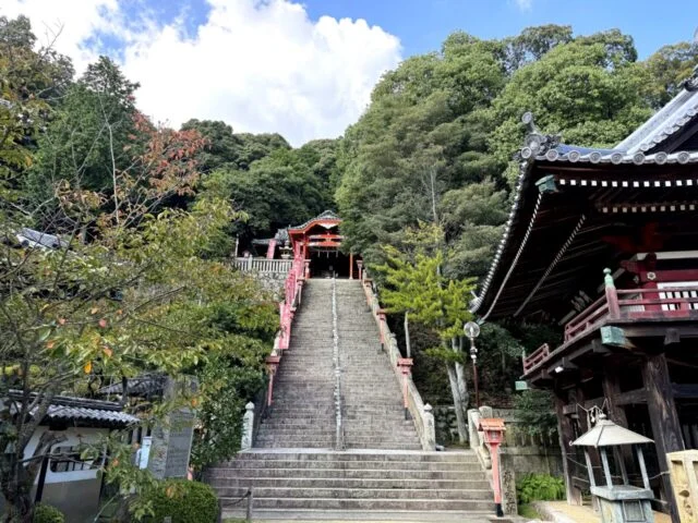 石段の上に見える赤い鳥居