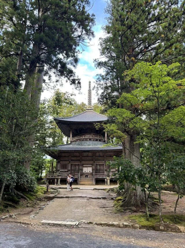 木立の奥に見える壇上伽藍の西塔方面の堂塔