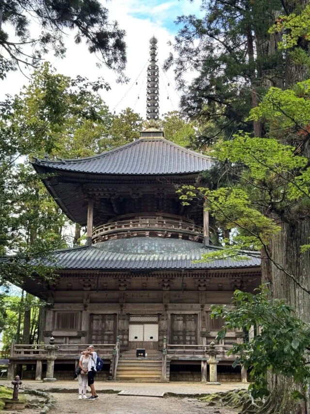 壇上伽藍の西塔を近くで見た写真
