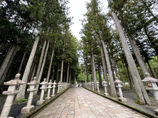 奥之院参道の杉並木と石灯籠